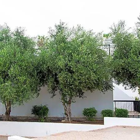 فندق Summer's أيا نابا
